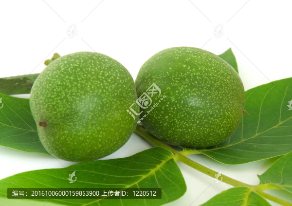 青核桃