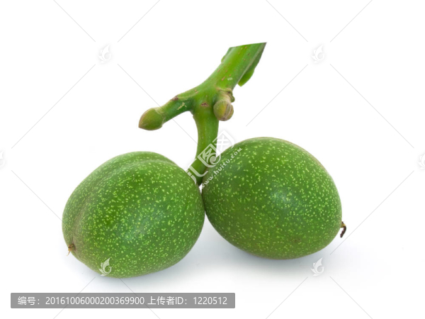 青核桃