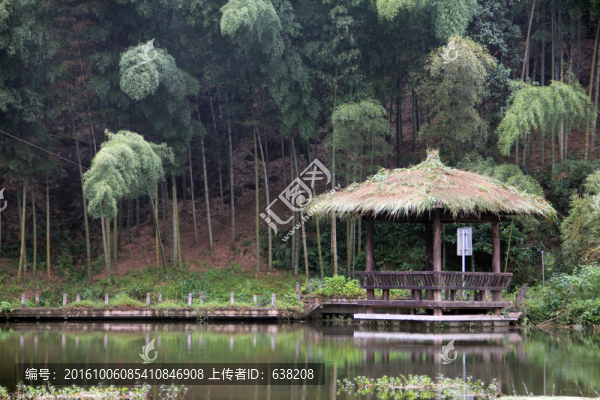 竹林小亭