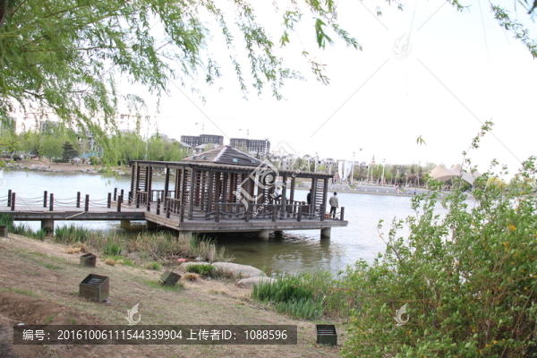 公園風(fēng)光