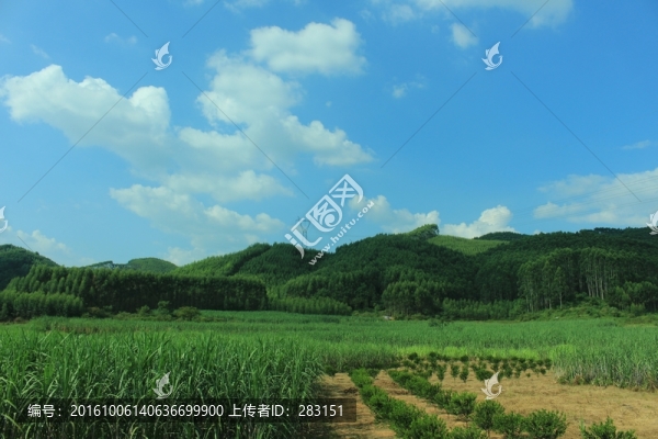 故鄉(xiāng)的云