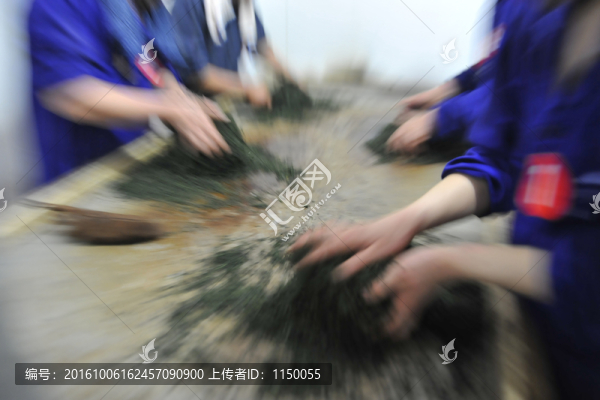 恩施玉露茶葉加工手工制作