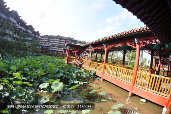 園林藝術(shù)