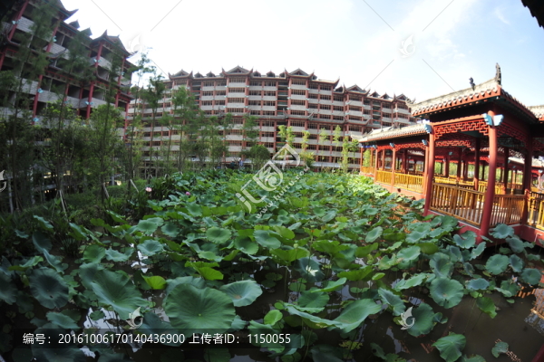 湖泊池塘園林