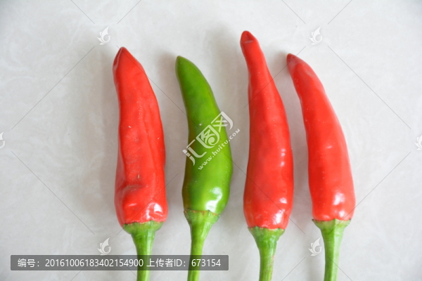 指天椒