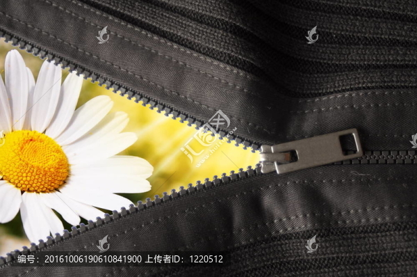 隱藏的花