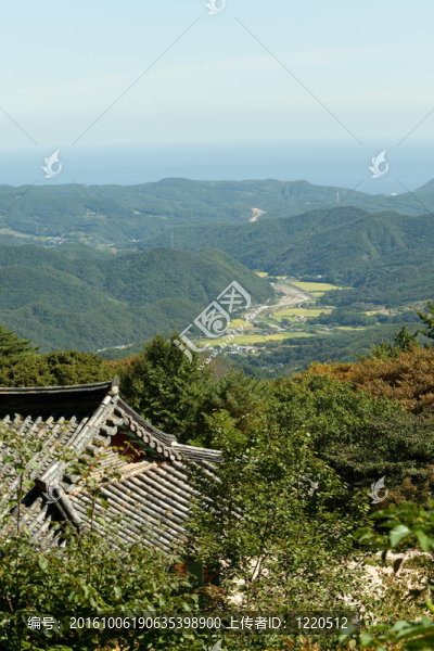 韓國