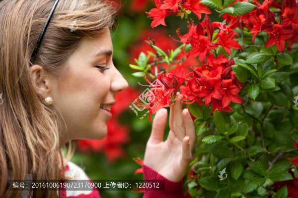 女人味florwers