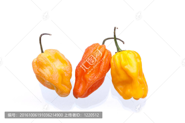 橙色和黃色的蘇格蘭帽辣椒