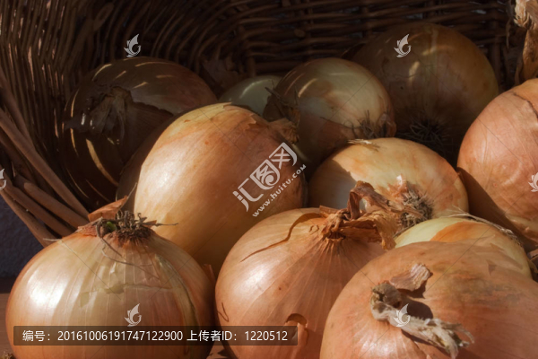 洋蔥在籃子里