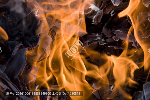 一些報(bào)紙?jiān)诖蠡鹬腥紵? title=