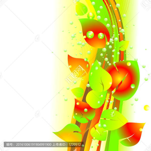 花的