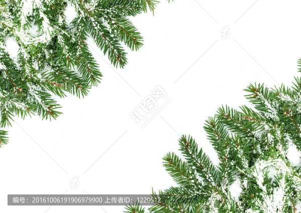 雪的圣誕框架