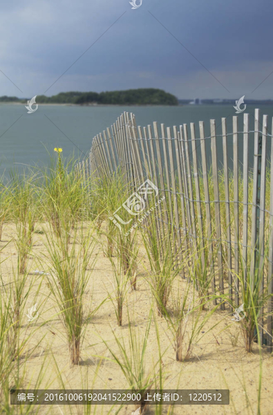 沙丘