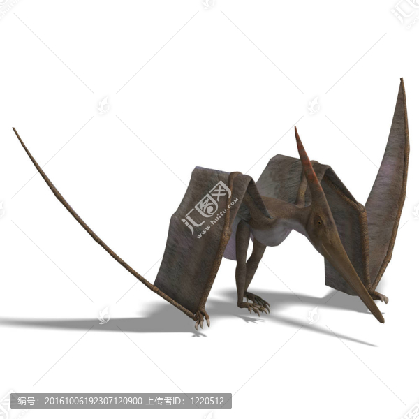 翼手龍