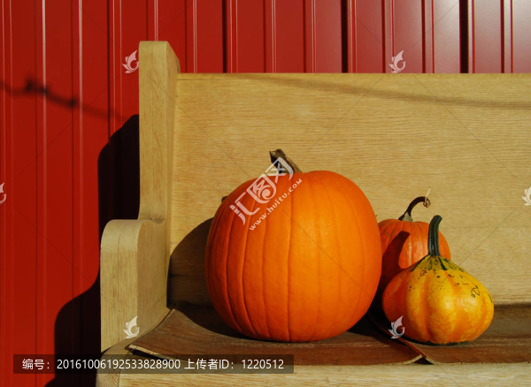 南瓜和Gourd在長凳上