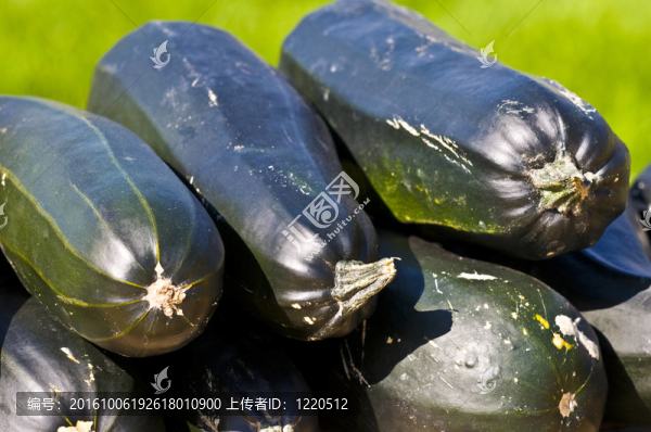 南瓜