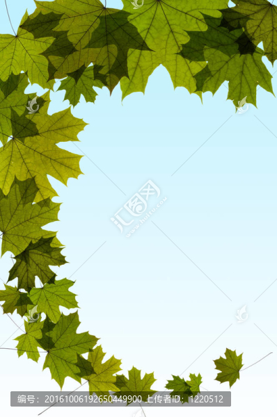 綠色楓葉背景空間為您的文字