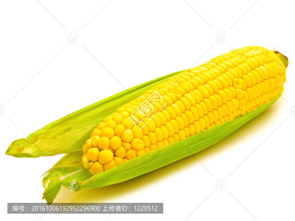 玉米
