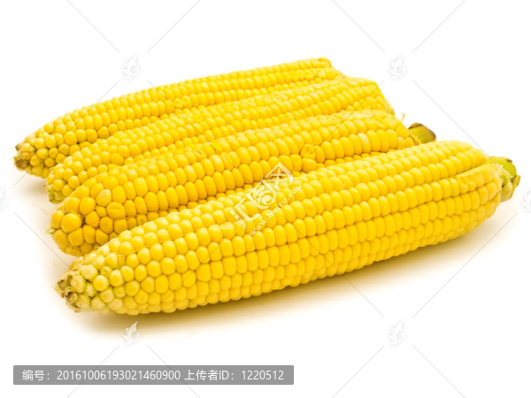 玉米