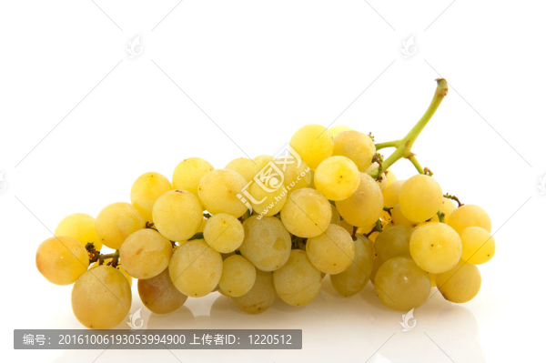 白葡萄