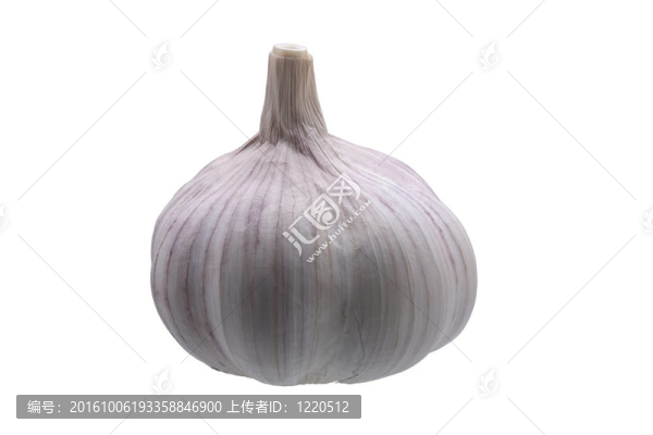 新鮮大蒜