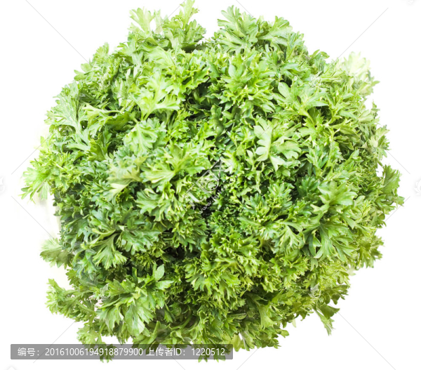 白色背景上的綠色蔬菜。