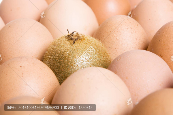 孤獨(dú)的獼猴桃