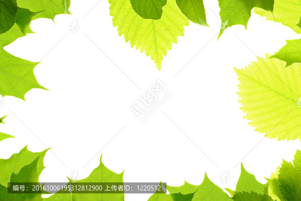 白色背景下的邊框