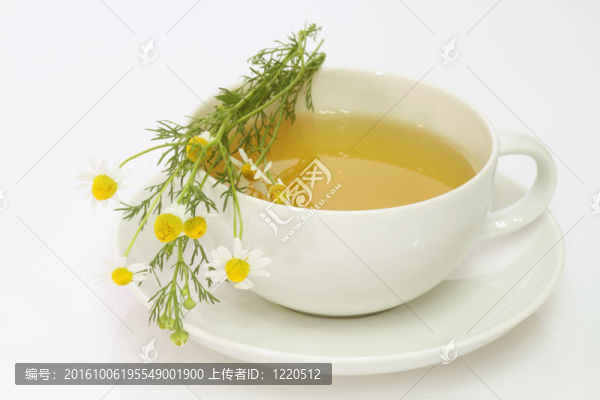 甘菊茶
