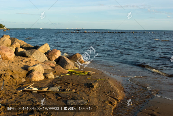 芬蘭灣海岸線