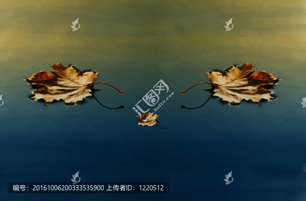 三葉