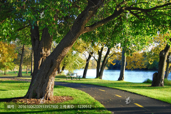 公園中的步行路徑