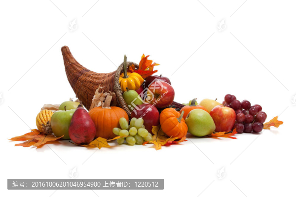 落在一個(gè)白色背景的聚寶盆