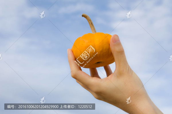 女士手拿著一個南瓜