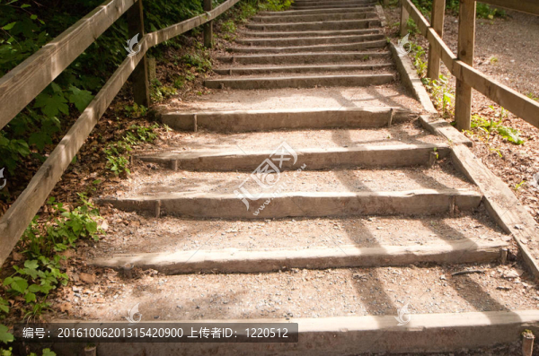 樓梯的自然公園