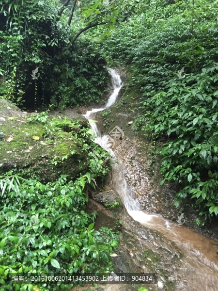 山澗溪流