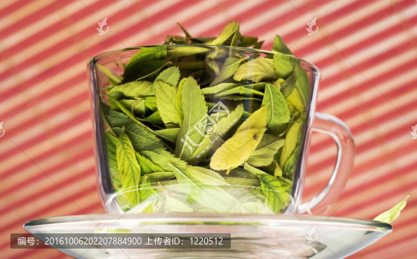 綠茶的概念