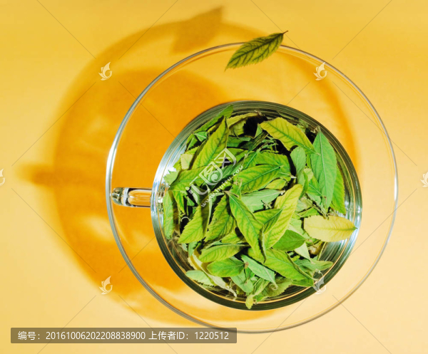 綠茶的概念