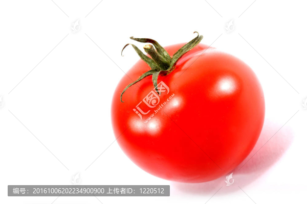 孤立的番茄
