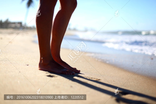 看到海洋