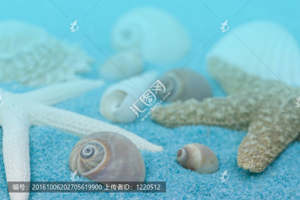 海灘收集