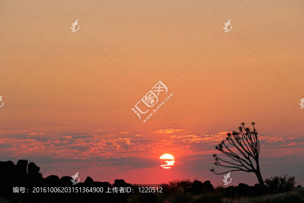 沙漠日落