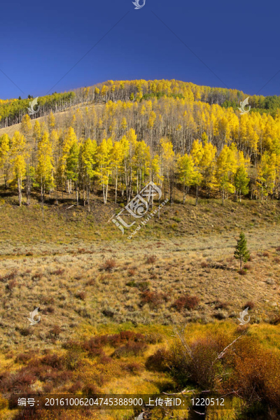 科羅拉多山景觀