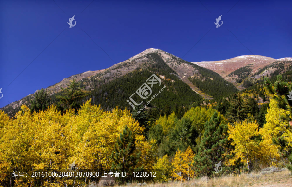 埃爾伯特峰