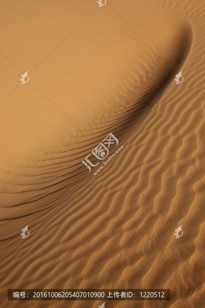 沙漠中的沙紋特寫