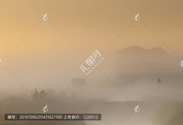 荷蘭有霧和日出的風(fēng)景