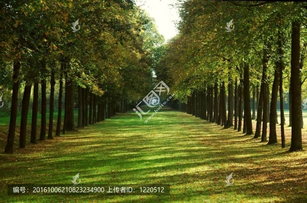 秋天在一個(gè)公園的大道