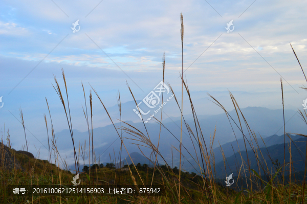高山美景