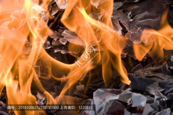一些報(bào)紙?jiān)诖蠡鹬腥紵? title=